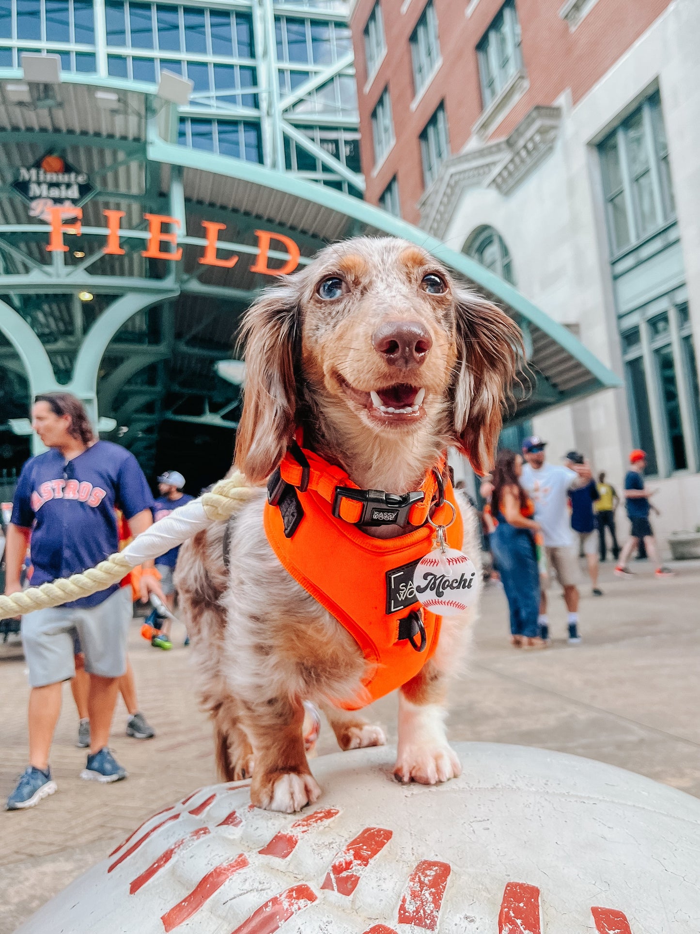 Dog Collar - Neon Orange