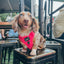 Dog Adjustable Harness - Neon Pink