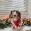 Dog Adjustable Harness - Merlot
