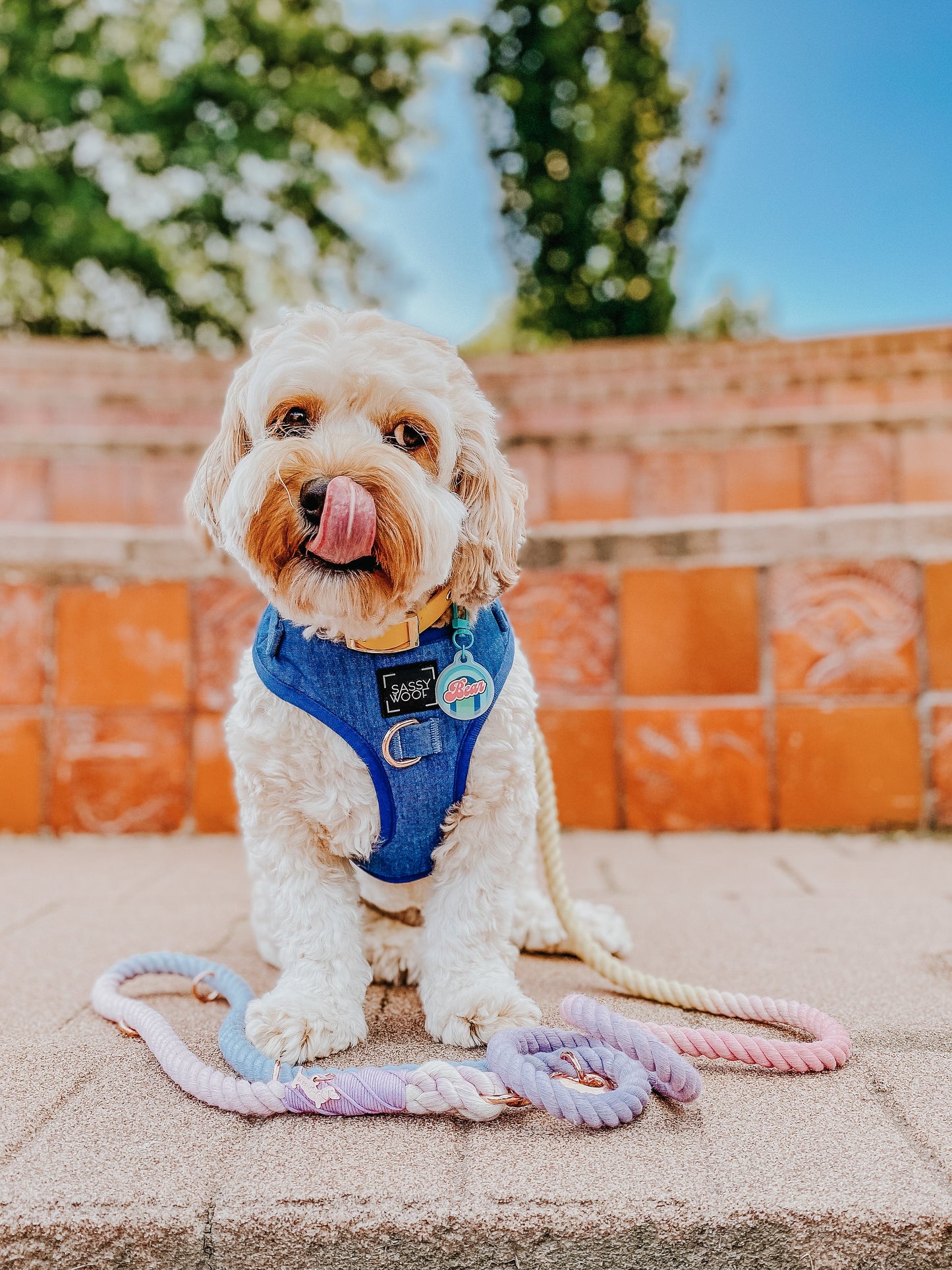 Dog Adjustable Harness - Denim