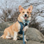 Dog Adjustable Harness - Denim