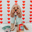 Dog Rope Leash - Dandy