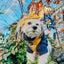 Dog Adjustable Harness - Sunflower Fields