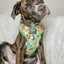 Dog Adjustable Harness - The Powerpuff Girls™ (Green)