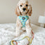 Dog Rope Leash - Fiesta