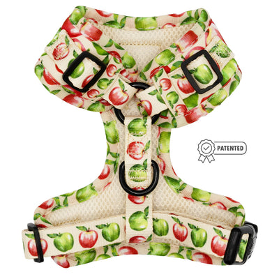 Dog Adjustable Harness - Apple of My Eye