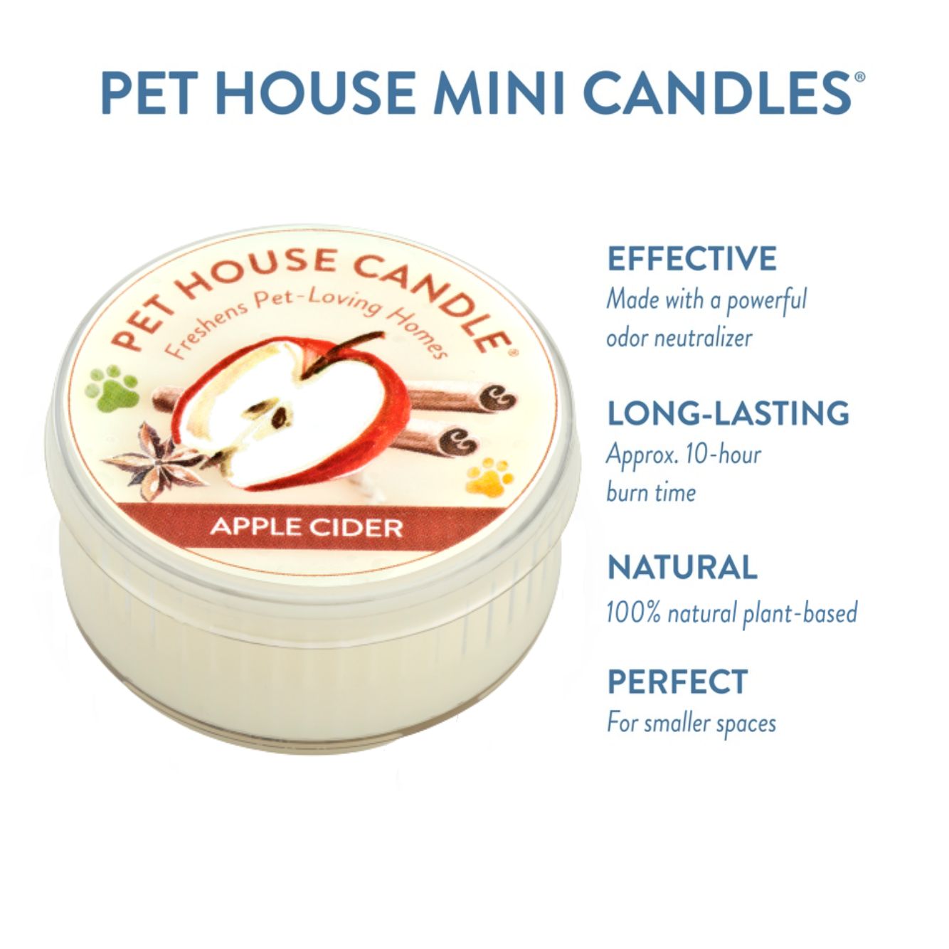Apple Cider Mini Candle