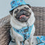 Dog Adjustable Harness - Disney's Stitch