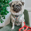 Dog Adjustable Harness - Disney's Snow White