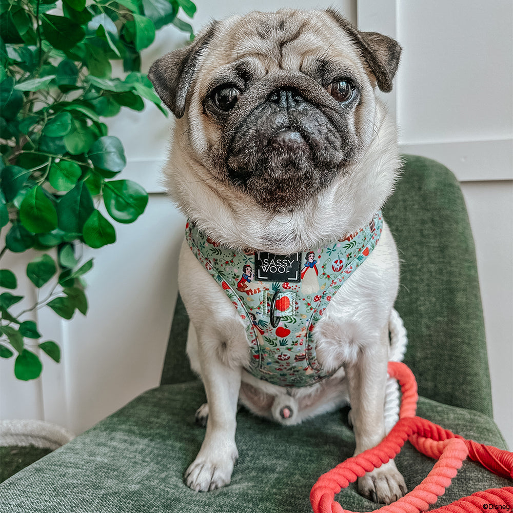 Dog Adjustable Harness - Disney's Snow White