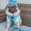 Dog Bucket Hat - Disney's Stitch