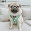 Dog Adjustable Harness - The Powerpuff Girls™ (Green)