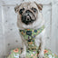 Dog Adjustable Harness - Haunt Mess