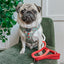 Dog Rope Leash - Disney's Snow White