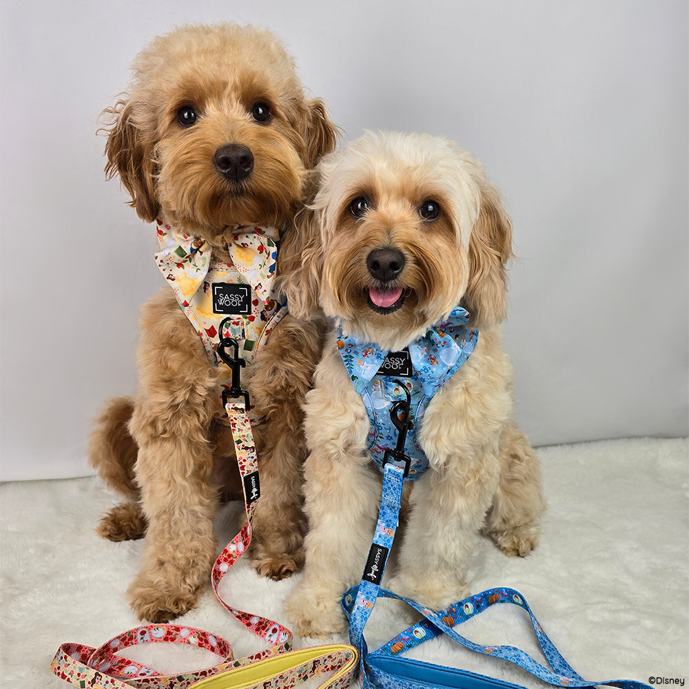 Dog Leash - Disney's Cinderella