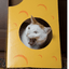 Monster Cheese Wedge Cardboard Cat House