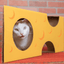 Monster Cheese Wedge Cardboard Cat House