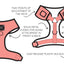 Dog Adjustable Harness - SpongeBob SquarePants™ Bikini Bottom