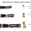 Adventure Style Mountain Blush Climbing Rope Dog Collar