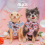 Dog Adjustable Harness - Alice in Wonderland (Blue)