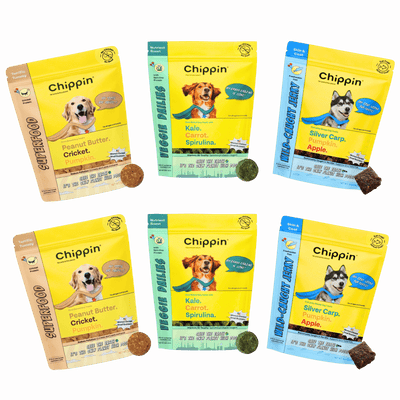 Allergy-Friendly Dog Treats, 6-Pack