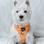 Dog Adjustable Harness - Apple Cider
