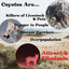 Coyote Cologne Predator Attractant, 8oz Spray