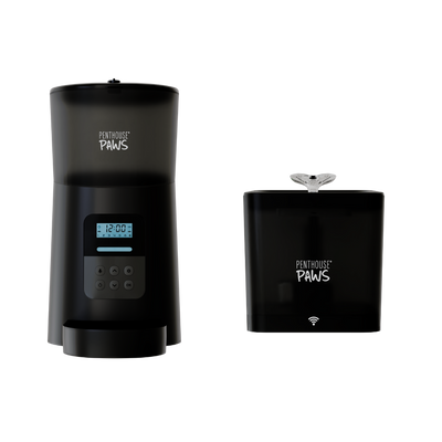 Automatic Cat Feeder & Smart Water Fountain