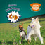 Addiction Zen Vegetarian Dog Food & Vegan Treats Bundle