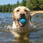 Glitter Ball 3-Pack Dog Toy | Soft PUP-X Rubber Floating Fetch Ball with Treat Dispenser | USA Made