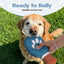 Pickleball Squeaky and Crinkle Paper Dog Toy -Funny Pickle Ball Puppy Gift