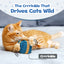 Cat Gift Box Catnip Toy – Crinkle Cat Toy for Indoor Cats, Cute Plush Birthday Present Kitty Toy with Catnip Inside
