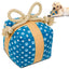 Gift Box Squeaky Dog Toy – Birthday Present Dog Toy with Crinkle Paper and Rope Bow, Durable & Plush for Tug of War and Chew Play