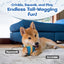 Gift Box Squeaky Dog Toy – Birthday Present Dog Toy with Crinkle Paper and Rope Bow, Durable & Plush for Tug of War and Chew Play