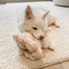 Fur Elise Vixi Plush Toy Set