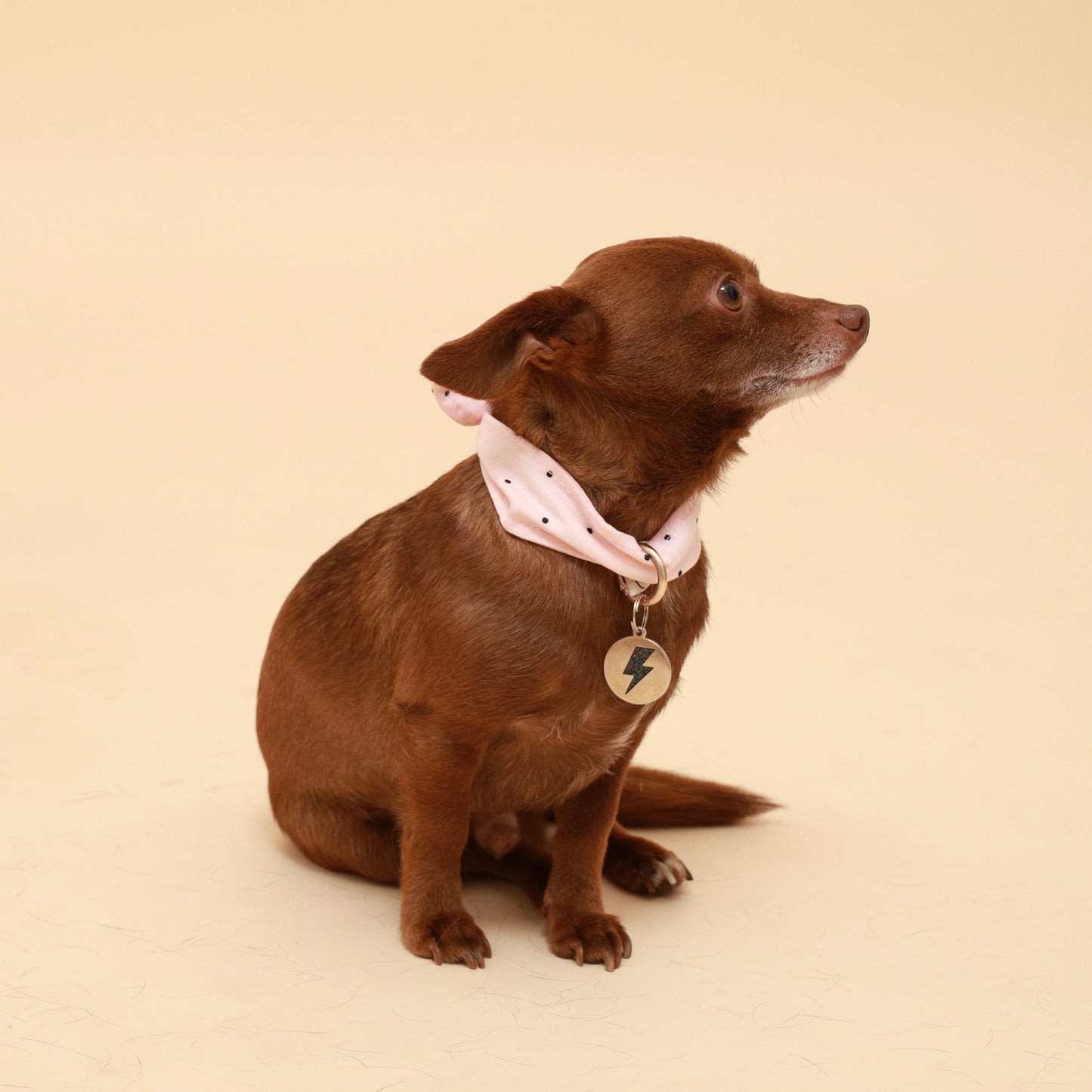 Pink Polka Dot Neckerchief
