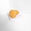 Croissant Nose Work Toy / Enrichment Toy