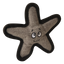 Baby Sophie the Starfish