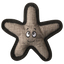 Baby Sophie the Starfish