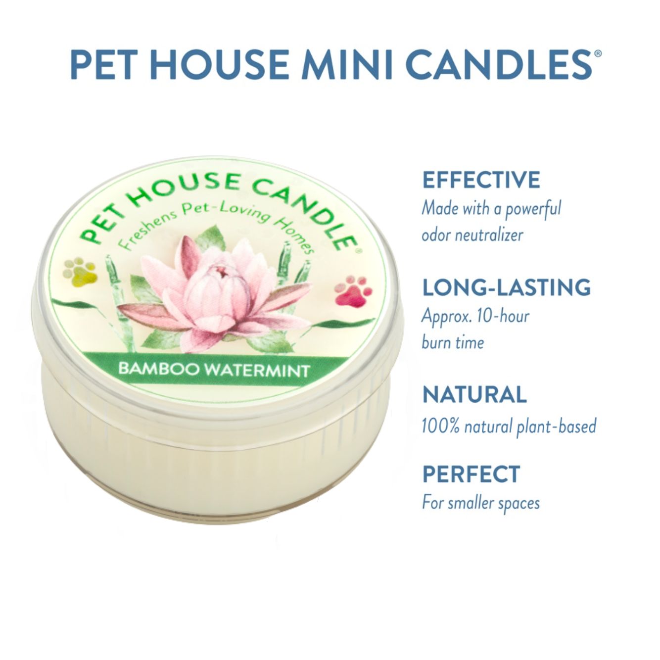 Bamboo Watermint Mini Candle