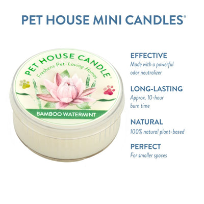 Bamboo Watermint Mini Candle