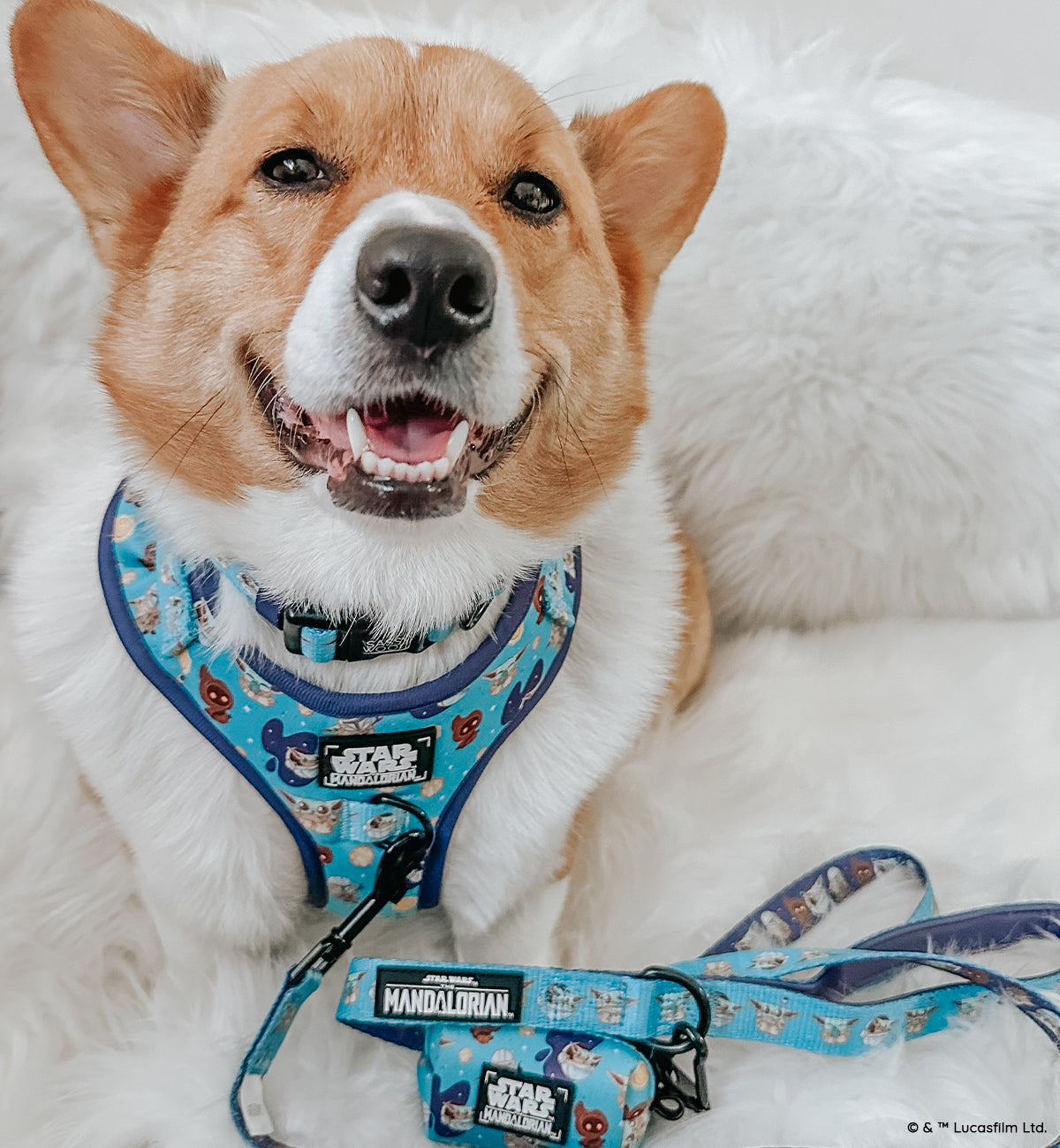 Dog Adjustable Harness - STAR WARS™ The Mandalorian™