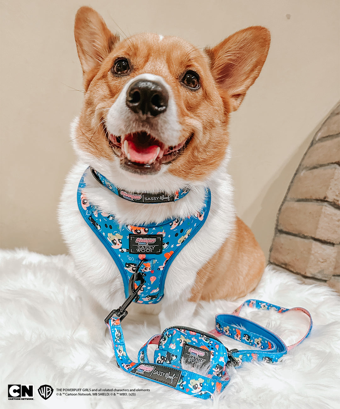 Dog Adjustable Harness - The Powerpuff Girls™ (Blue)