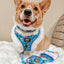 Dog Collar - The Powerpuff Girls™ (Blue)