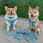 Dog Adjustable Harness - Disney's Stitch