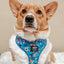 Dog Adjustable Harness - The Powerpuff Girls™ (Blue)