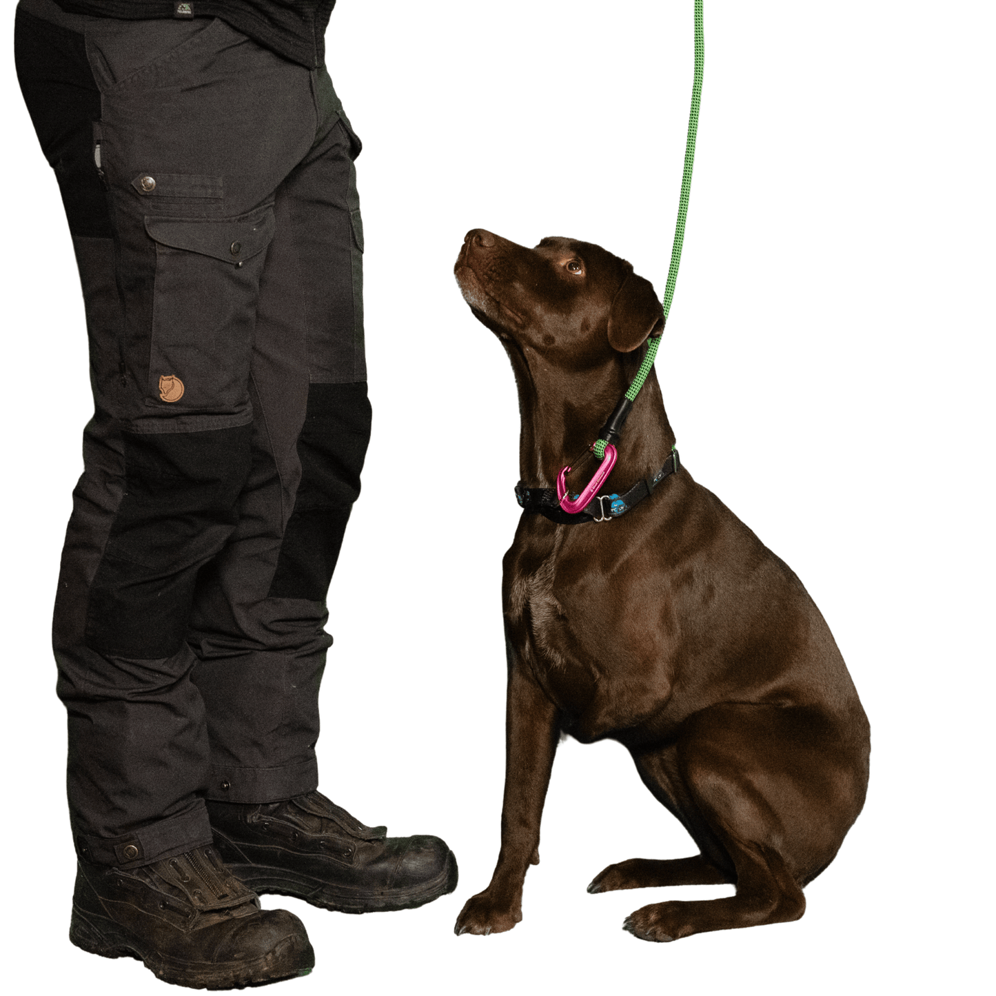 Black Diamond Summit Wire Gate Dog Leash