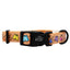 Dog Collar - Beach Bod