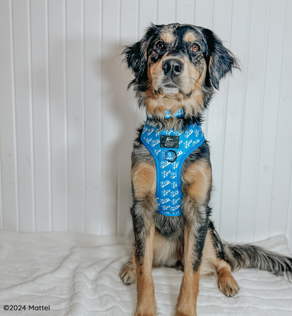 Dog Adjustable Harness - KEN™