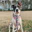 Dog Adjustable Harness - The Powerpuff Girls™ (Pink)